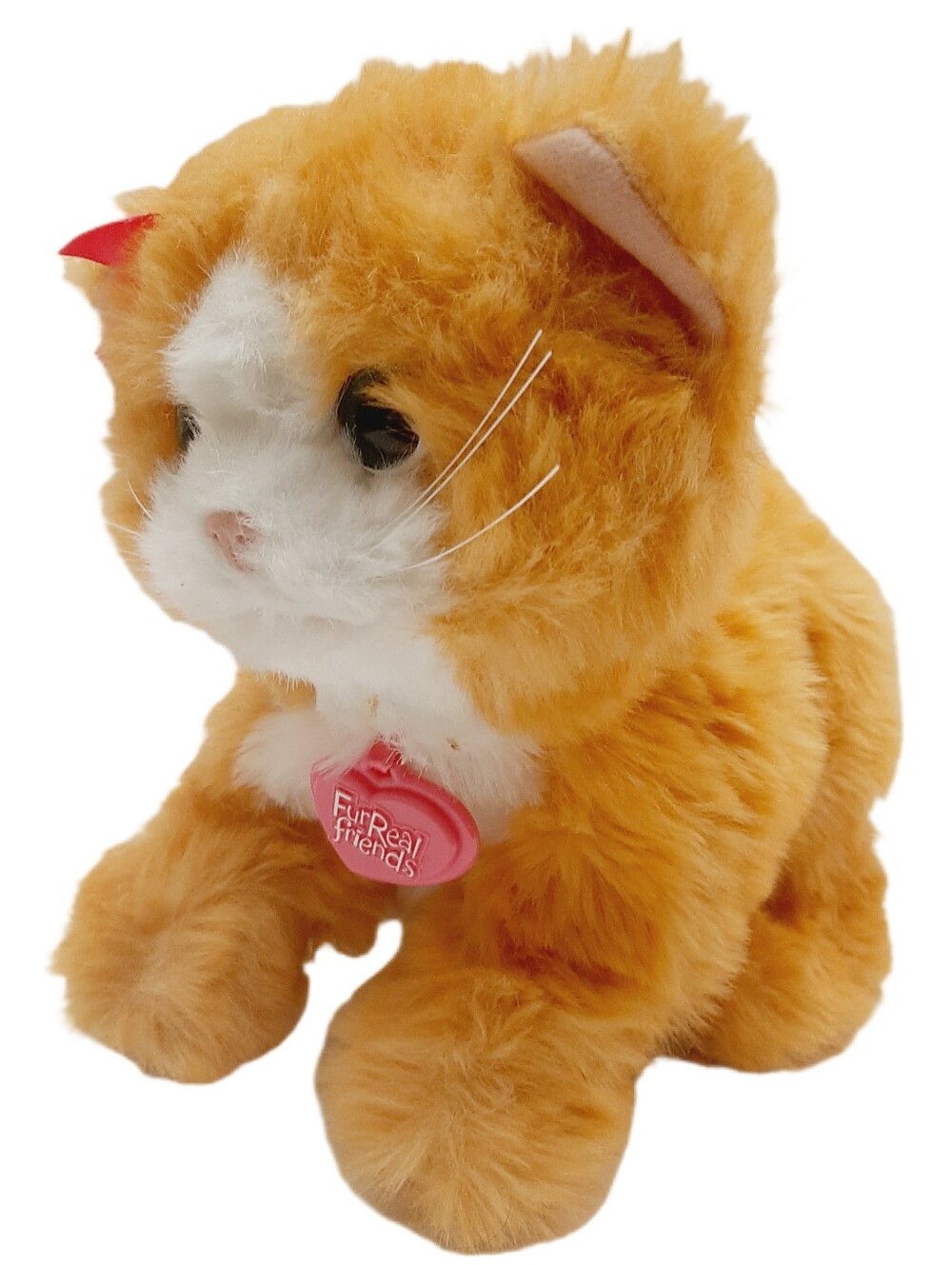 🍒 Hasbro furReal Friends Daisy Plays With Me Interactive Orange Cat Kids Toy